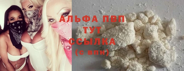 гашик Михайловск