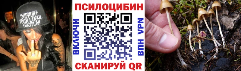 Псилоцибиновые грибы мицелий  Осташков 
